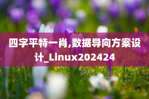 四字平特一肖,数据导向方案设计_Linux202424