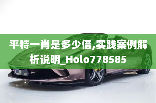 平特一肖是多少倍,实践案例解析说明_Holo778585