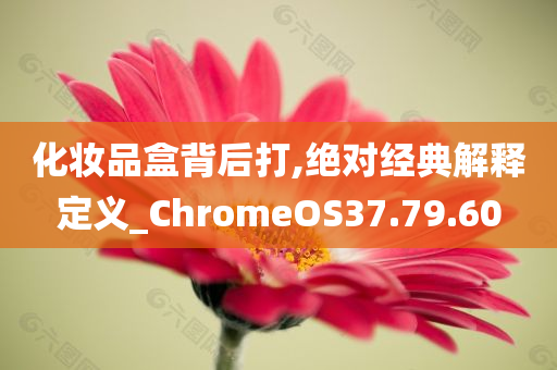 化妆品盒背后打,绝对经典解释定义_ChromeOS37.79.60