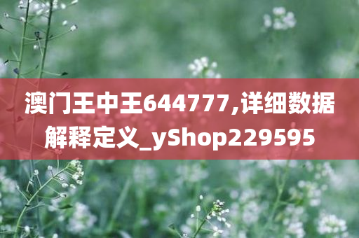 澳门王中王644777,详细数据解释定义_yShop229595