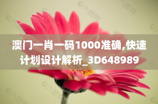 澳门一肖一码1000准确,快速计划设计解析_3D648989