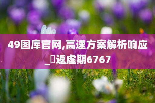 49图库官网,高速方案解析响应_‌返虚期6767