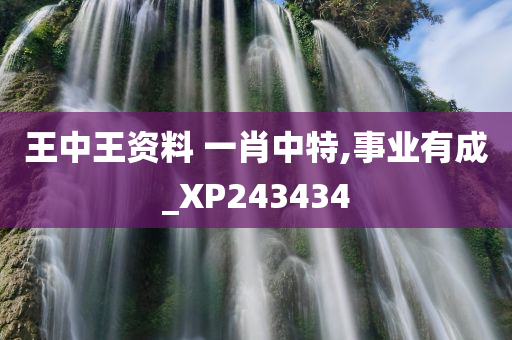 王中王资料 一肖中特,事业有成_XP243434