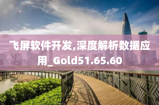 飞屏软件开发,深度解析数据应用_Gold51.65.60