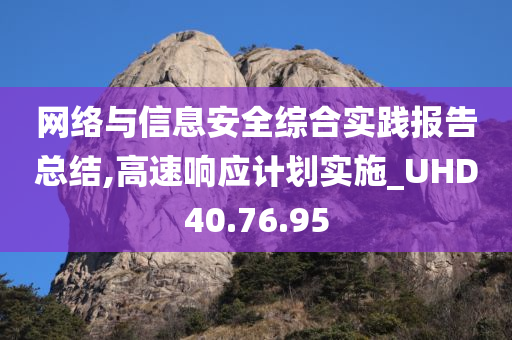 网络与信息安全综合实践报告总结,高速响应计划实施_UHD40.76.95