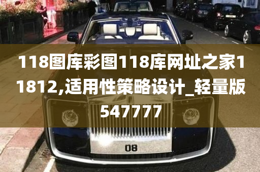 118图库彩图118库网址之家11812,适用性策略设计_轻量版547777