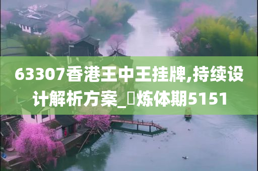 63307香港王中王挂牌,持续设计解析方案_‌炼体期5151