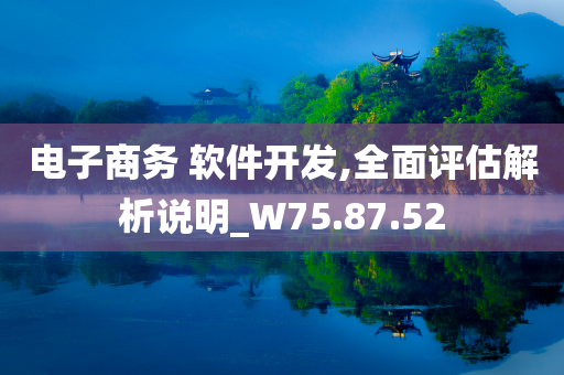 电子商务 软件开发,全面评估解析说明_W75.87.52