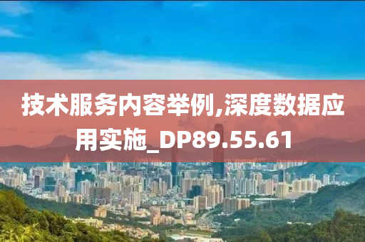 技术服务内容举例,深度数据应用实施_DP89.55.61