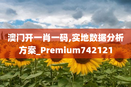 澳门开一肖一码,实地数据分析方案_Premium742121