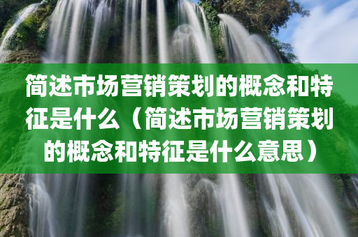 简述市场营销策划的概念和特征是什么（简述市场营销策划的概念和特征是什么意思）