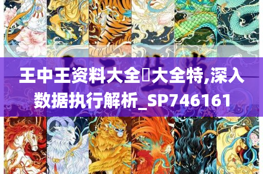 王中王资料大全枓大全特,深入数据执行解析_SP746161