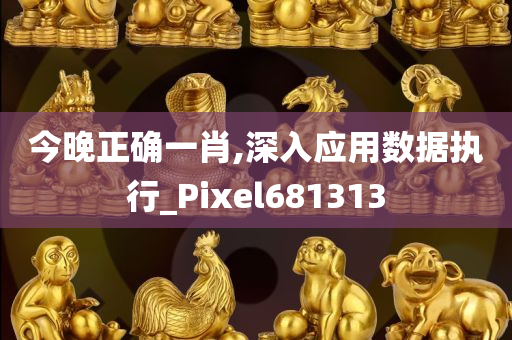 今晚正确一肖,深入应用数据执行_Pixel681313