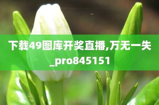 下载49图库开奖直播,万无一失_pro845151