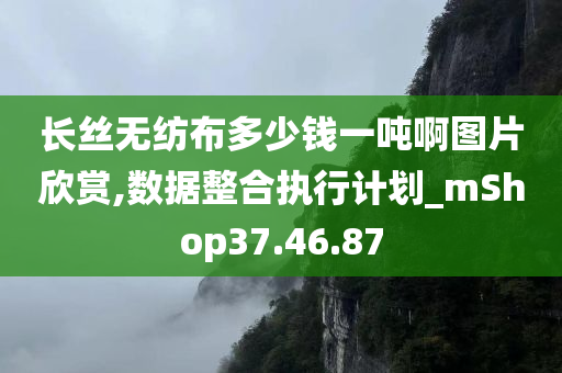 长丝无纺布多少钱一吨啊图片欣赏,数据整合执行计划_mShop37.46.87