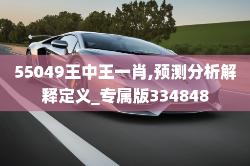 55049王中王一肖,预测分析解释定义_专属版334848