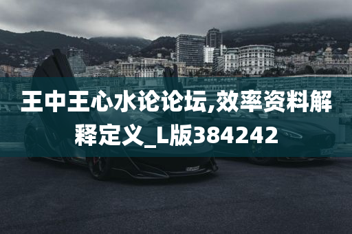 王中王心水论论坛,效率资料解释定义_L版384242