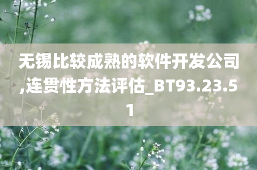 无锡比较成熟的软件开发公司,连贯性方法评估_BT93.23.51