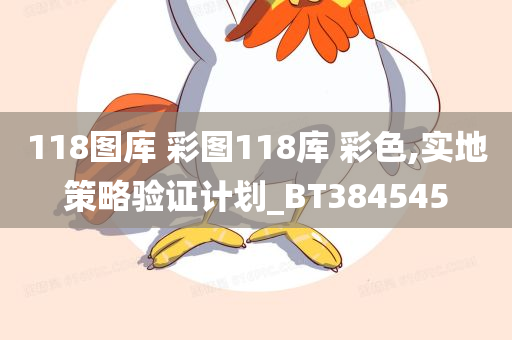 118图库 彩图118库 彩色,实地策略验证计划_BT384545