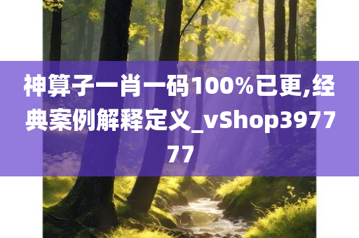 神算子一肖一码100%已更,经典案例解释定义_vShop397777