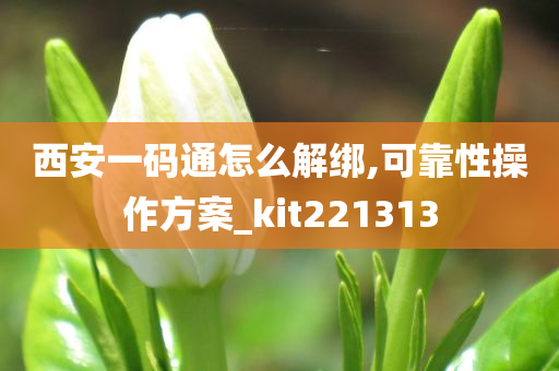 西安一码通怎么解绑,可靠性操作方案_kit221313