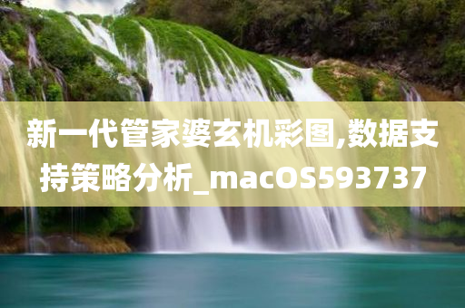 新一代管家婆玄机彩图,数据支持策略分析_macOS593737