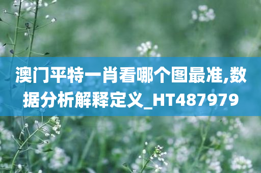 澳门平特一肖看哪个图最准,数据分析解释定义_HT487979