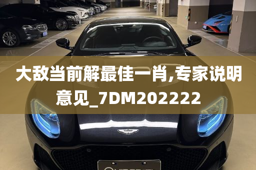 大敌当前解最佳一肖,专家说明意见_7DM202222