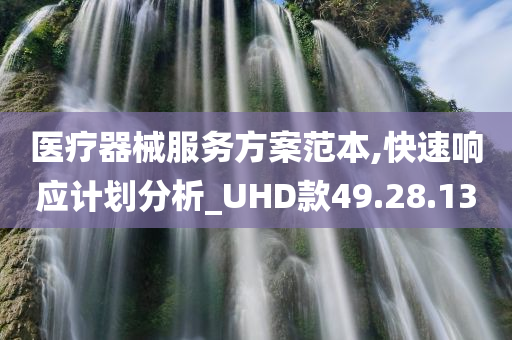 医疗器械服务方案范本,快速响应计划分析_UHD款49.28.13