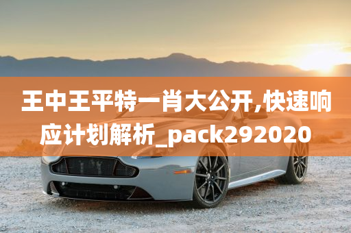 王中王平特一肖大公开,快速响应计划解析_pack292020