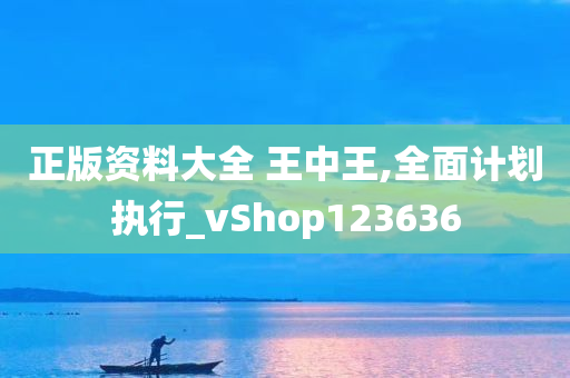 正版资料大全 王中王,全面计划执行_vShop123636