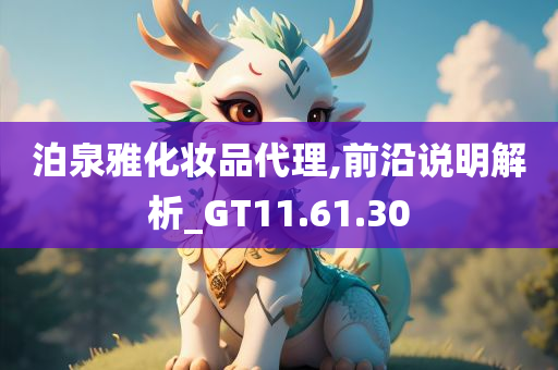 泊泉雅化妆品代理,前沿说明解析_GT11.61.30