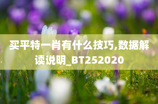 买平特一肖有什么技巧,数据解读说明_BT252020