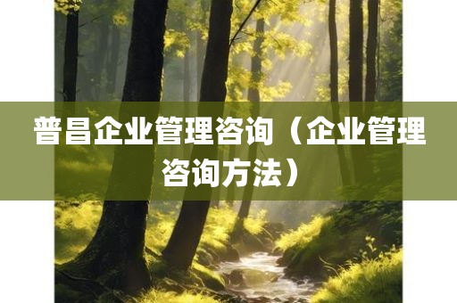 普昌企业管理咨询（企业管理咨询方法）