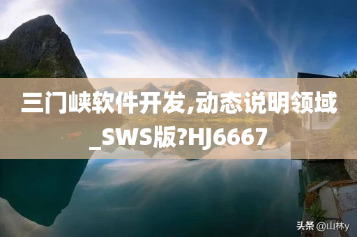 三门峡软件开发,动态说明领域_SWS版?HJ6667