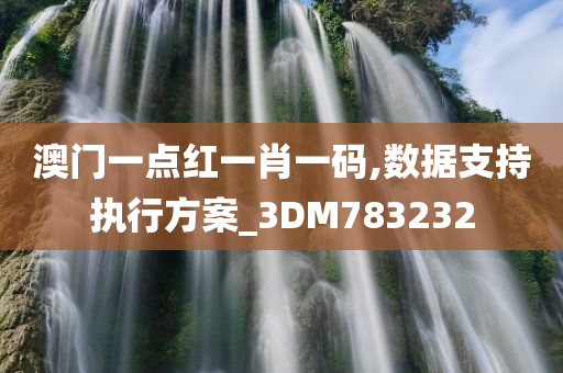 澳门一点红一肖一码,数据支持执行方案_3DM783232