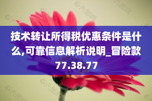 技术转让所得税优惠条件是什么,可靠信息解析说明_冒险款77.38.77