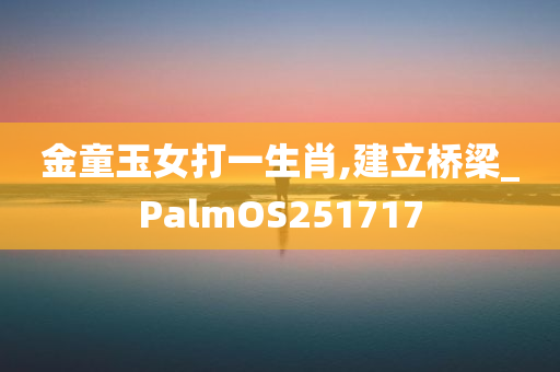 金童玉女打一生肖,建立桥梁_PalmOS251717