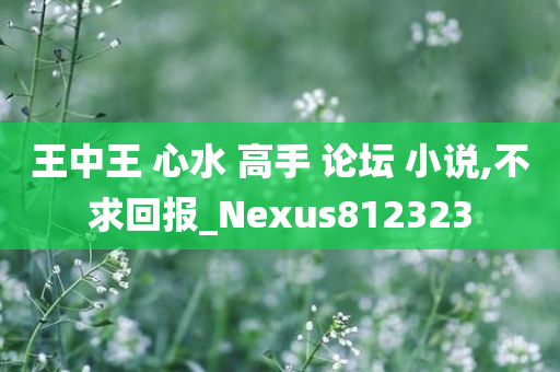 王中王 心水 高手 论坛 小说,不求回报_Nexus812323