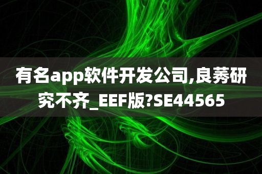 有名app软件开发公司,良莠研究不齐_EEF版?SE44565