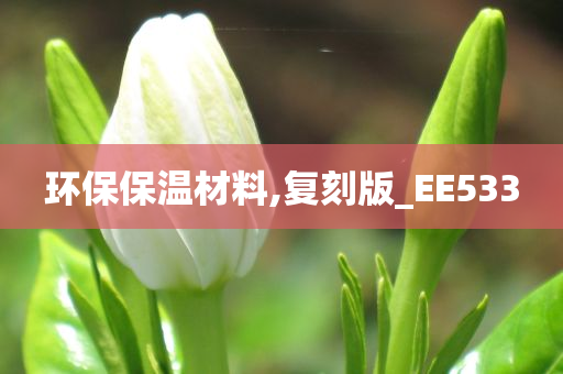 环保保温材料,复刻版_EE533