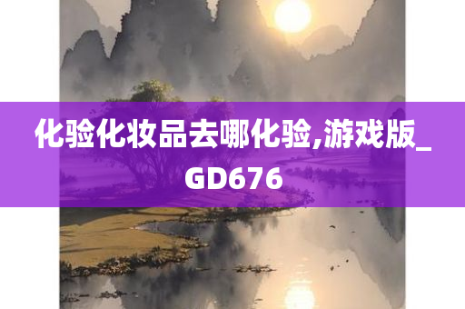 化验化妆品去哪化验,游戏版_GD676