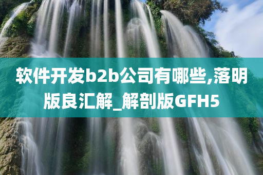 软件开发b2b公司有哪些,落明版良汇解_解剖版GFH5