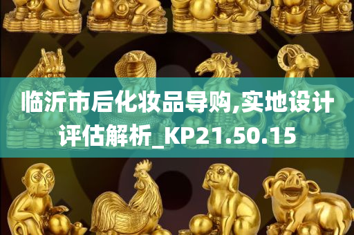 临沂市后化妆品导购,实地设计评估解析_KP21.50.15