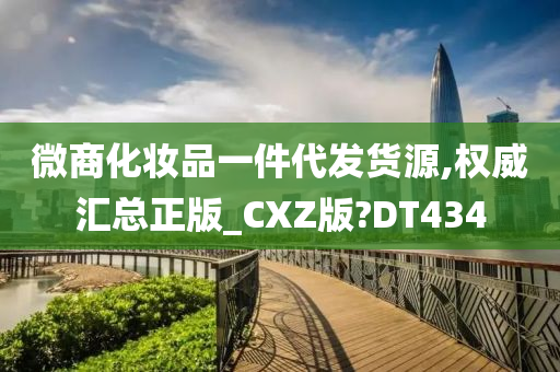 微商化妆品一件代发货源,权威汇总正版_CXZ版?DT434