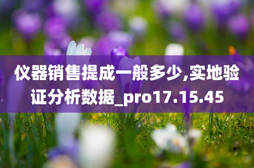 仪器销售提成一般多少,实地验证分析数据_pro17.15.45