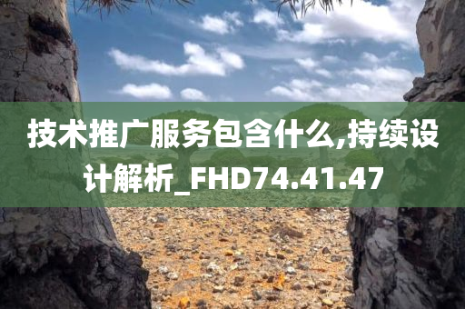 技术推广服务包含什么,持续设计解析_FHD74.41.47