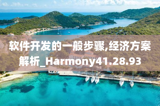 软件开发的一般步骤,经济方案解析_Harmony41.28.93