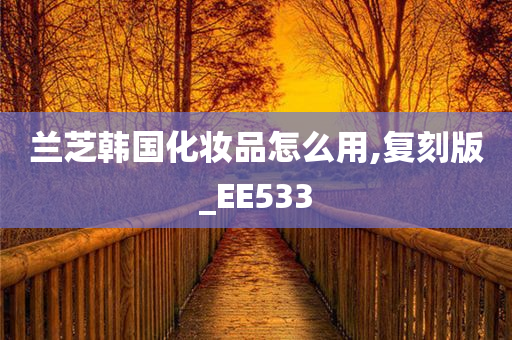 兰芝韩国化妆品怎么用,复刻版_EE533