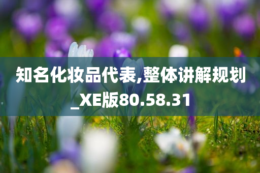 知名化妆品代表,整体讲解规划_XE版80.58.31